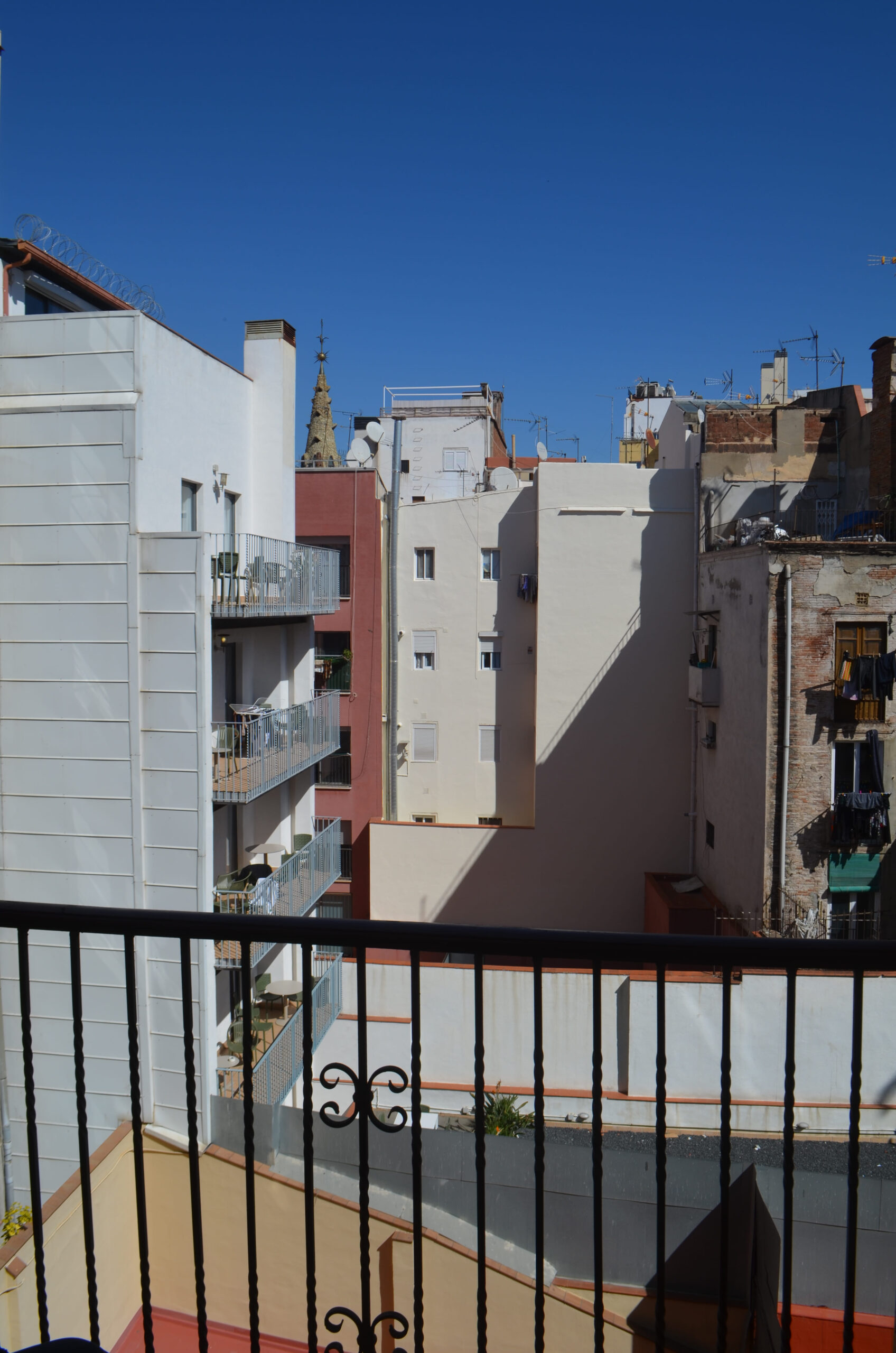 DSC_1296